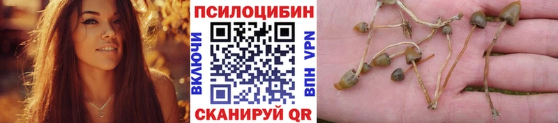 магазин продажи ОМГ ОМГ зеркало Галлюциногенные грибы Psilocybe Урай