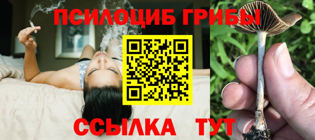 Урай  Псилоцибиновые грибы мицелий  Вход с VPN 