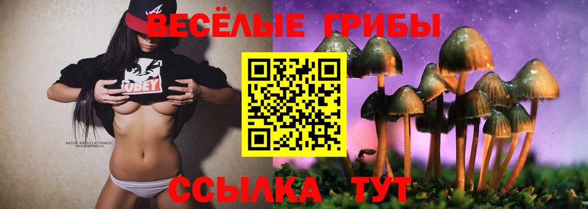 Псилоцибиновые грибы Cubensis Урай